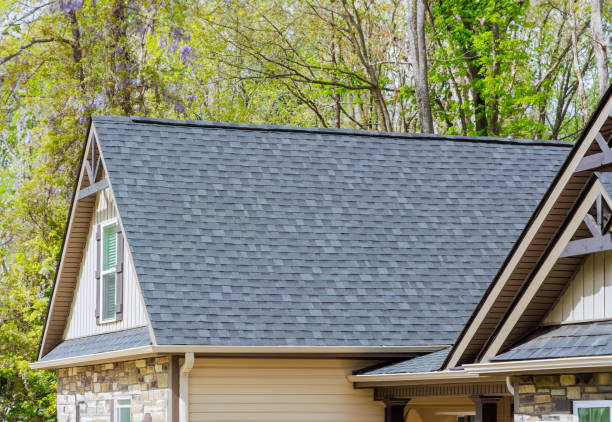 Best Metal Roofing Installation  in De Pue, IL